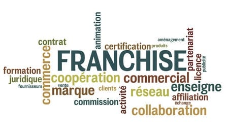 Système de gouvernance et de coordination des échanges des réseaux de franchise